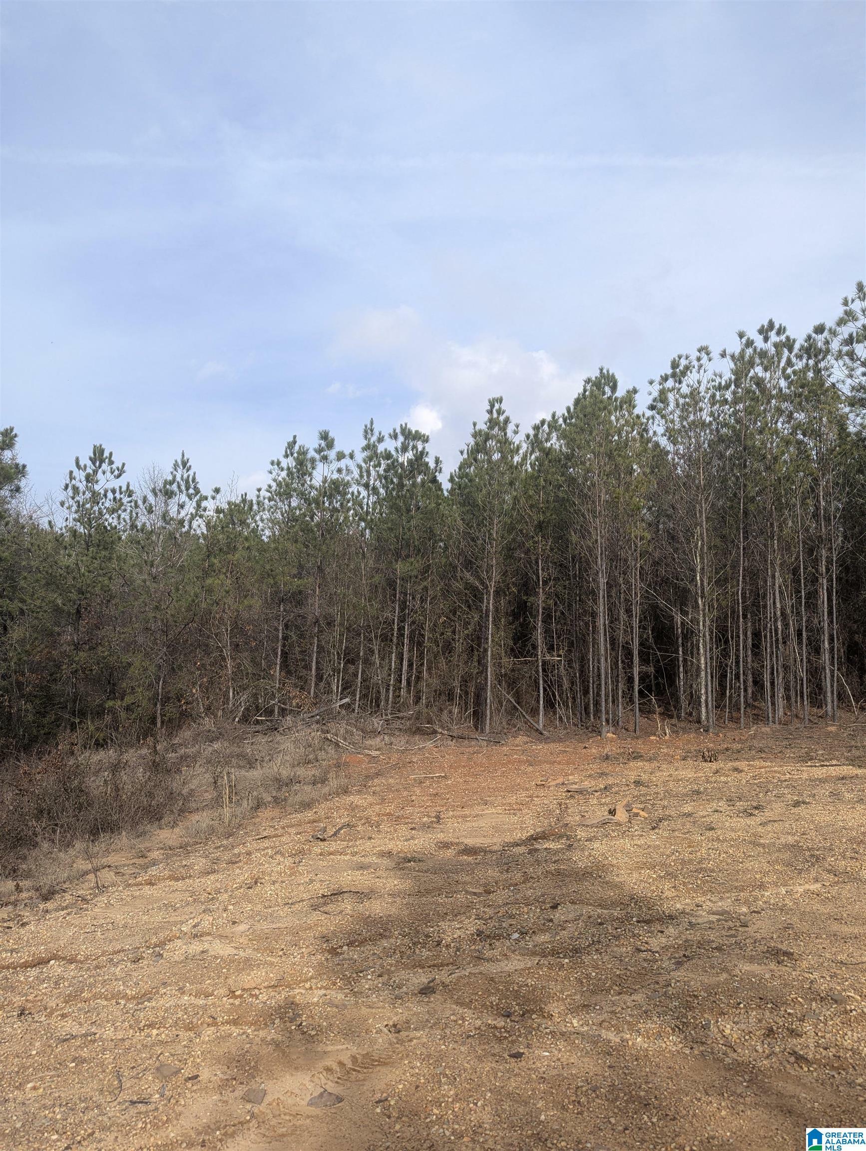 Property Photo:  245 Highway 183 1  AL 36793 