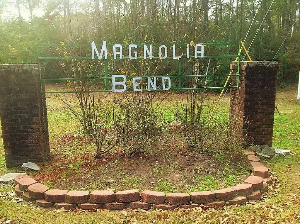 Property Photo: Tbd Block 02 Lot 12 TX 77302