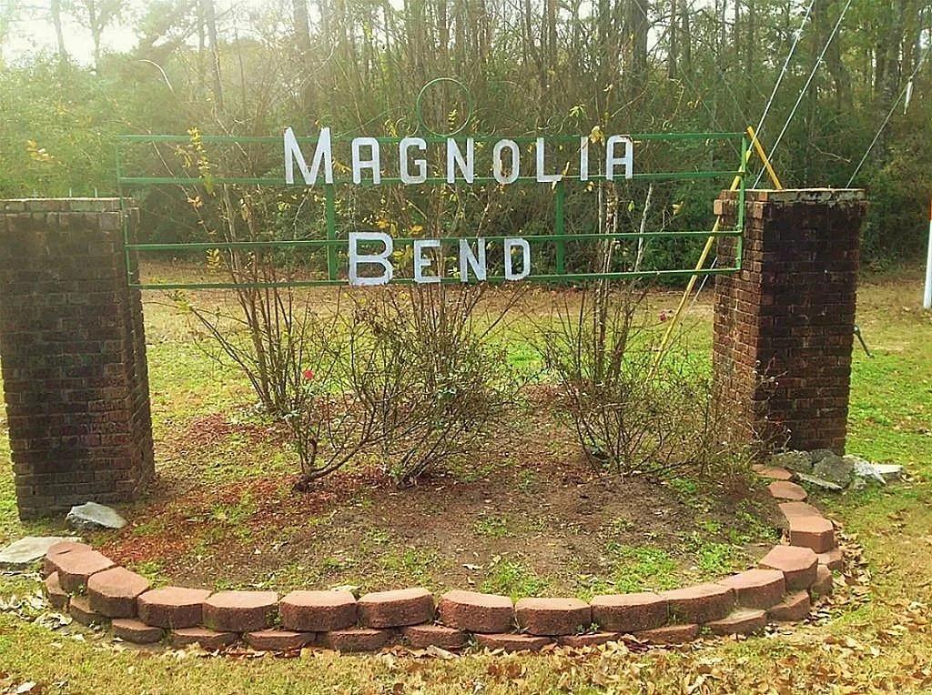 Property Photo: Tbd Block 02 Lot 12 TX 77302