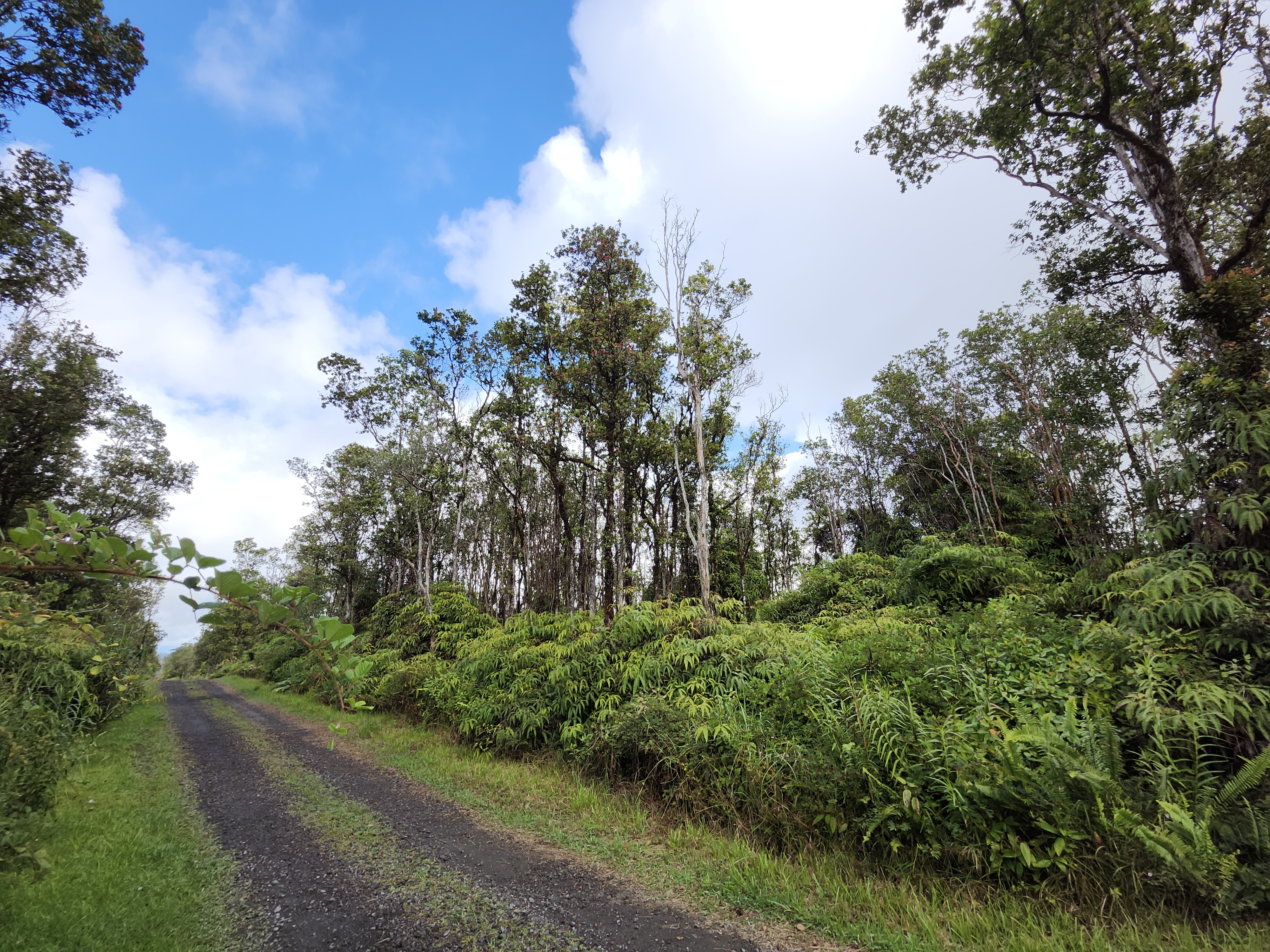 Property Photo:  Ala Naualani  HI 96785 