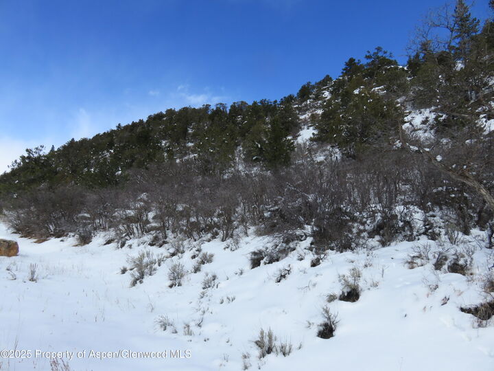 Property Photo:  Tbd 117 County Road  CO 81601 
