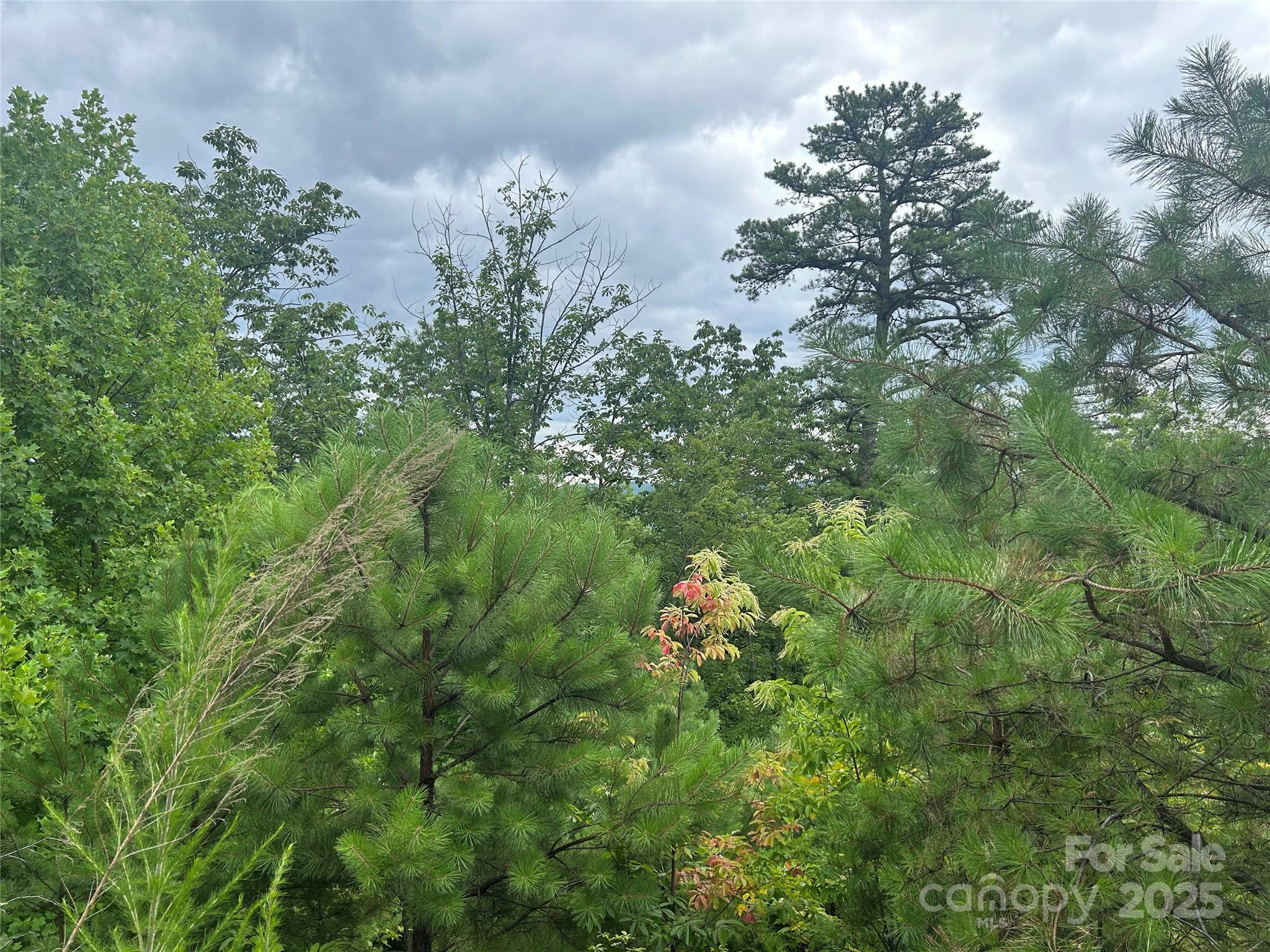 Property Photo: Tbd Lobelia Lane 72 NC 28607