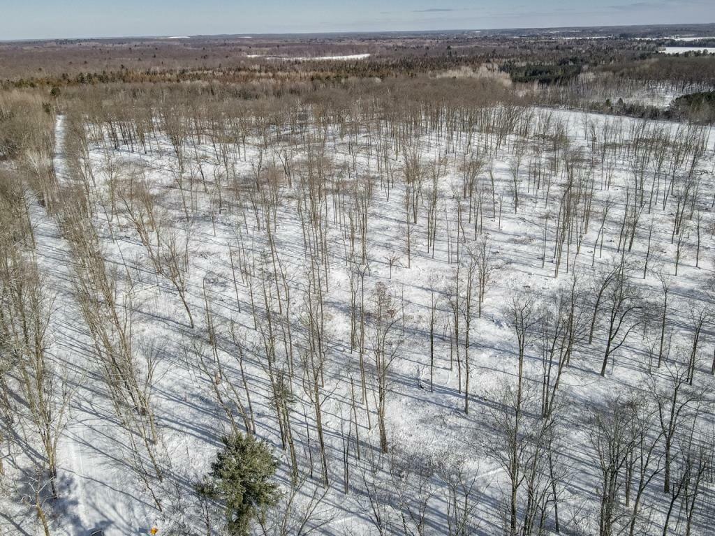 Property Photo:  10.63 Acres Plover River Road  WI 54440 