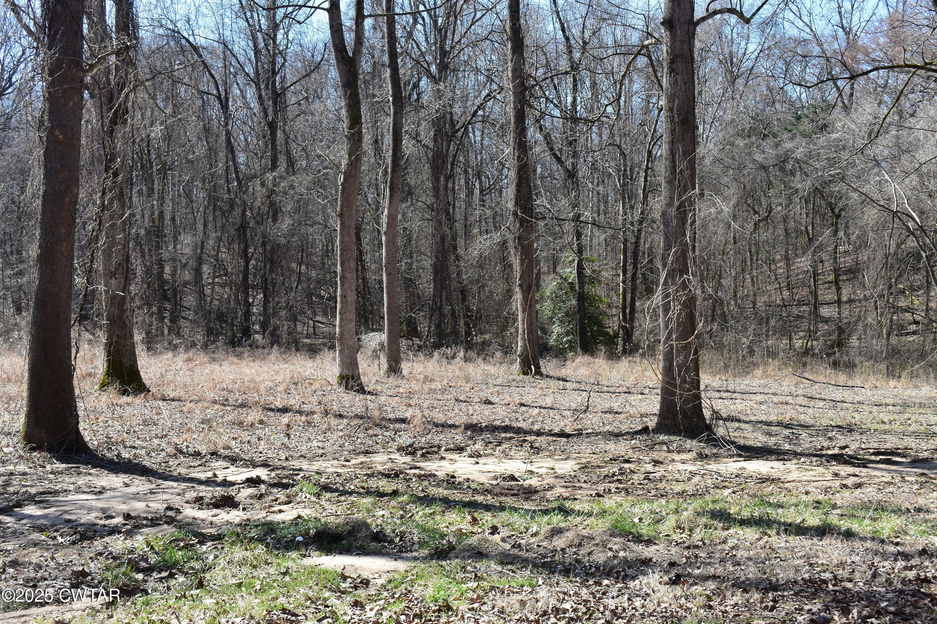 Property Photo:  412 Lakewood Drive E  TN 38305 