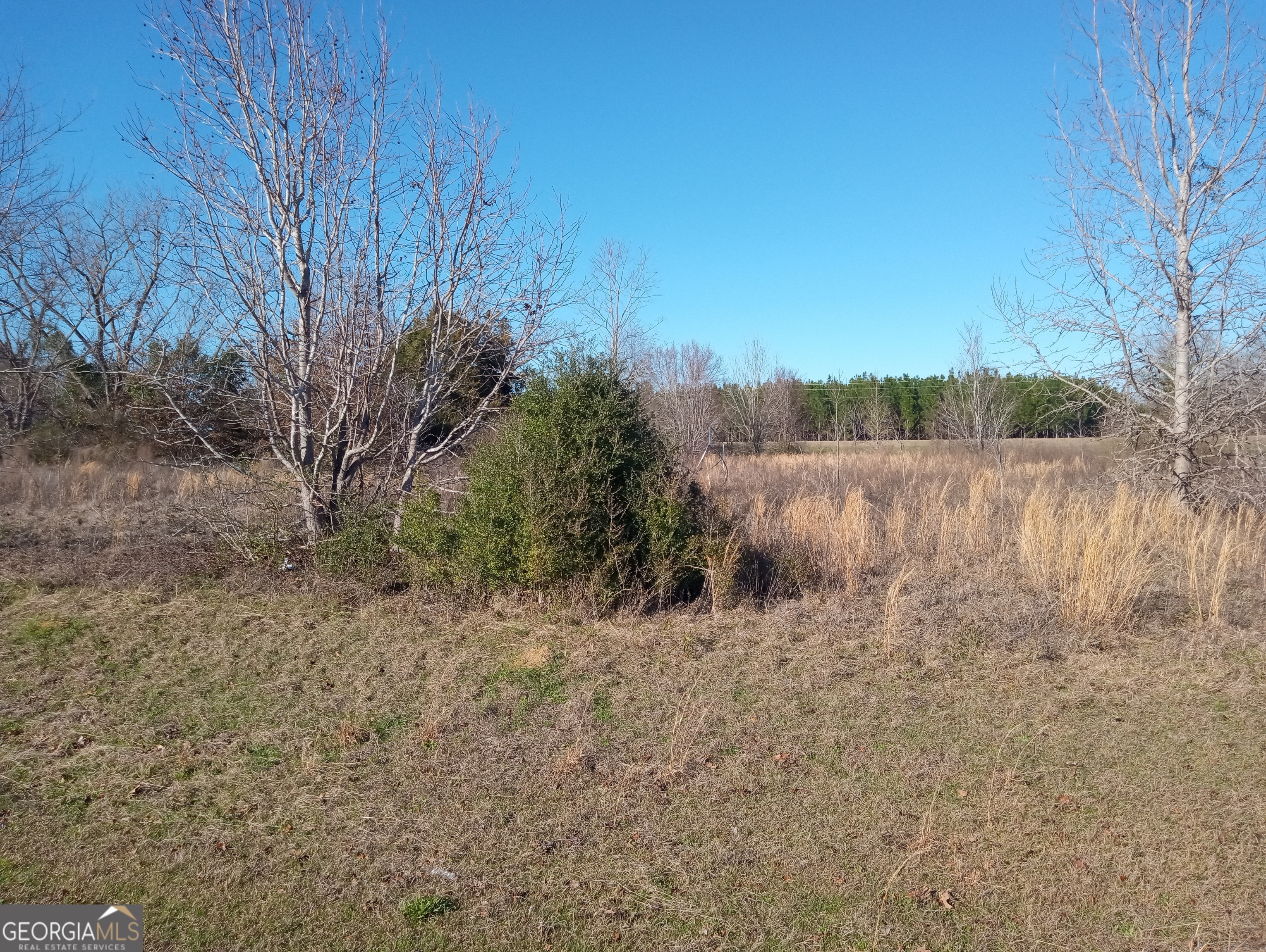 Property Photo: 1562 Lexington Drive GA 31021