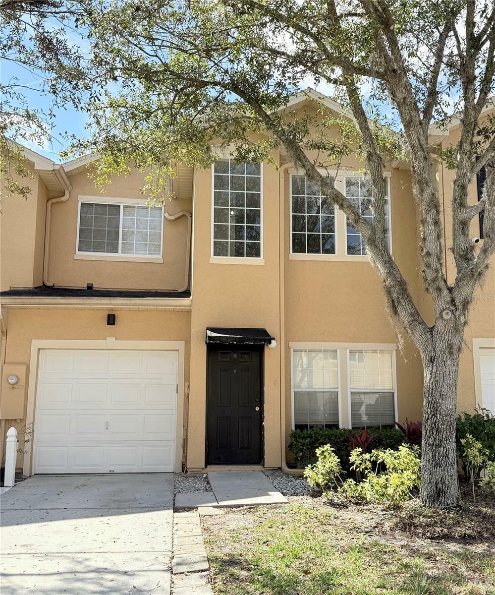 Property Photo:  16306 Parkstone Palms Court  FL 33647 