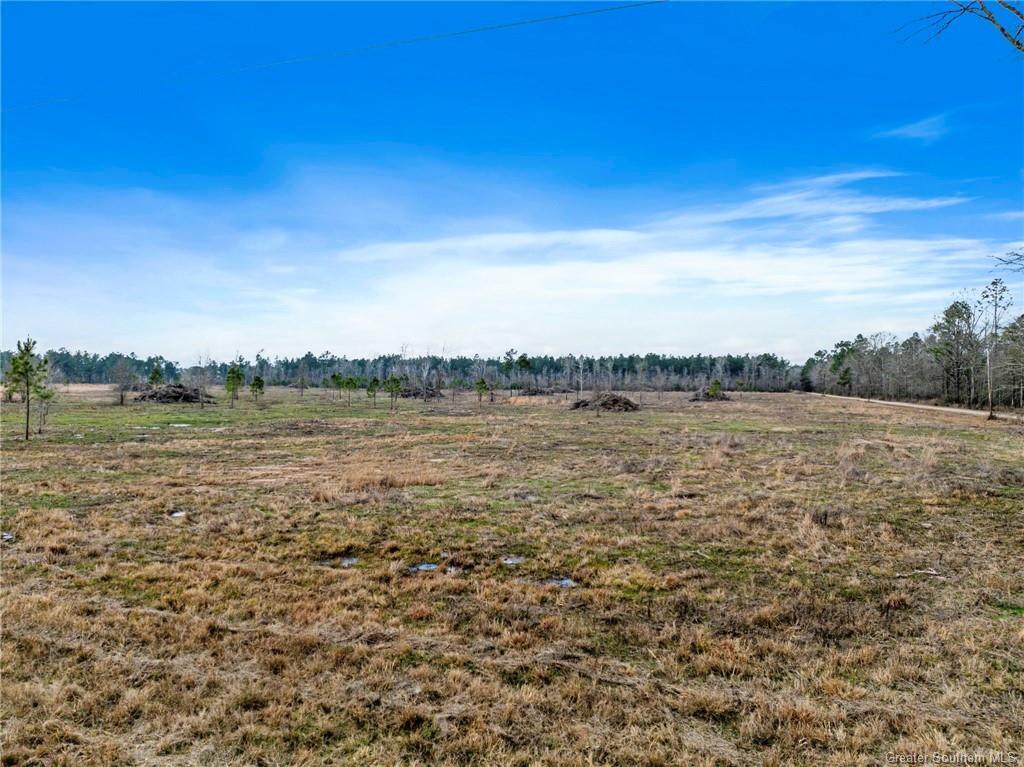Conway Rosteet Rd  Longville LA 70652 photo
