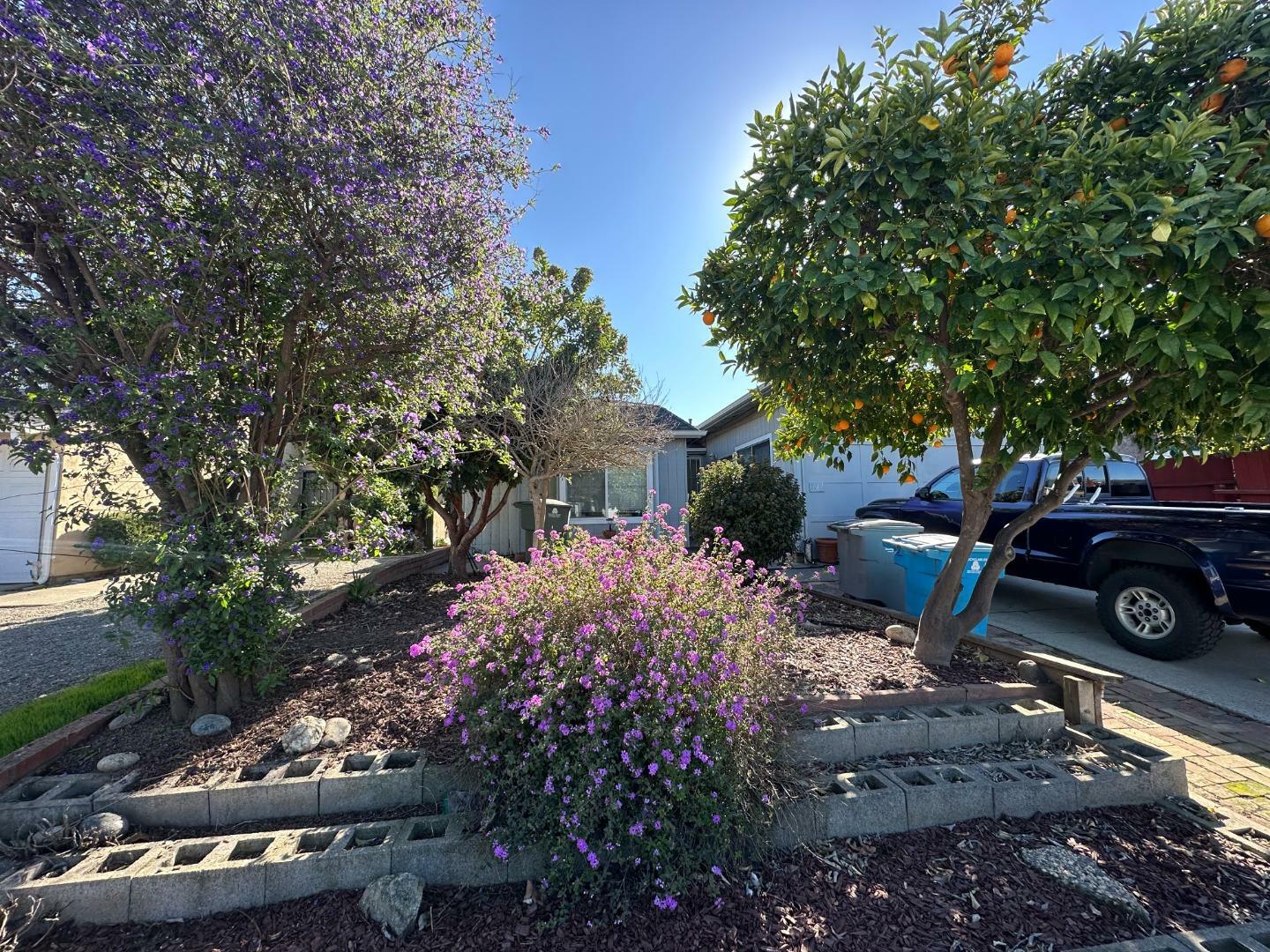 Property Photo: 282 Loupe Court CA 95020