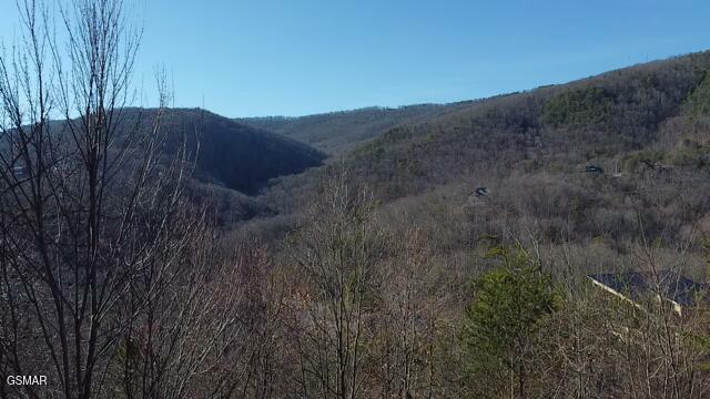 Property Photo:  Lot 113 Summit Trails Drive  TN 37862 