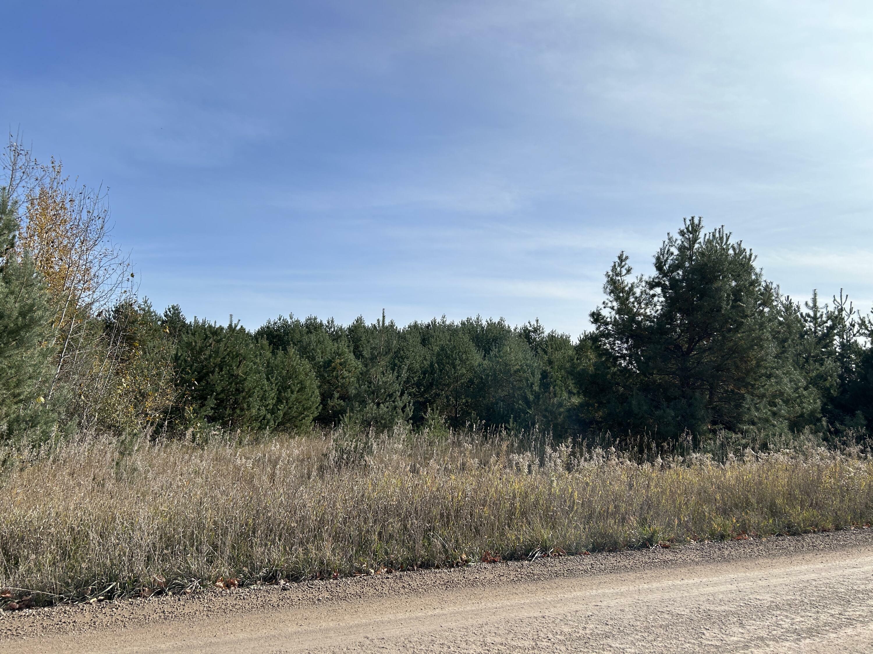 Property Photo:  Indian Trail Road  MI 49721 