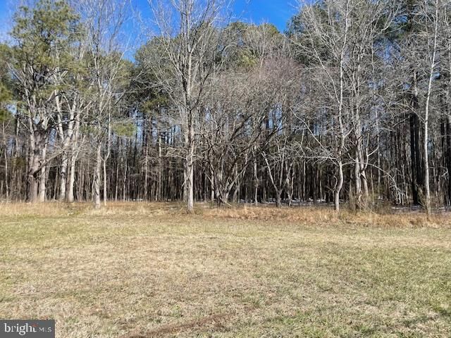 Property Photo:  Parcel 24 Ocean Highway  MD 21871 