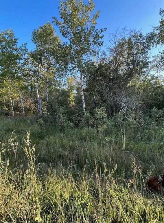Photo de la propriété:  0 36N Road  MB R0A 0W1 