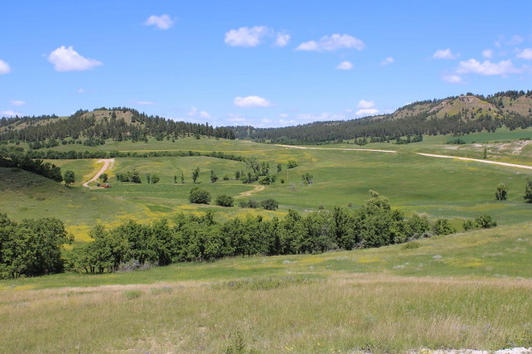 Property Photo:  Tract 3 Bay Mountain Road  WY 82720-9999 