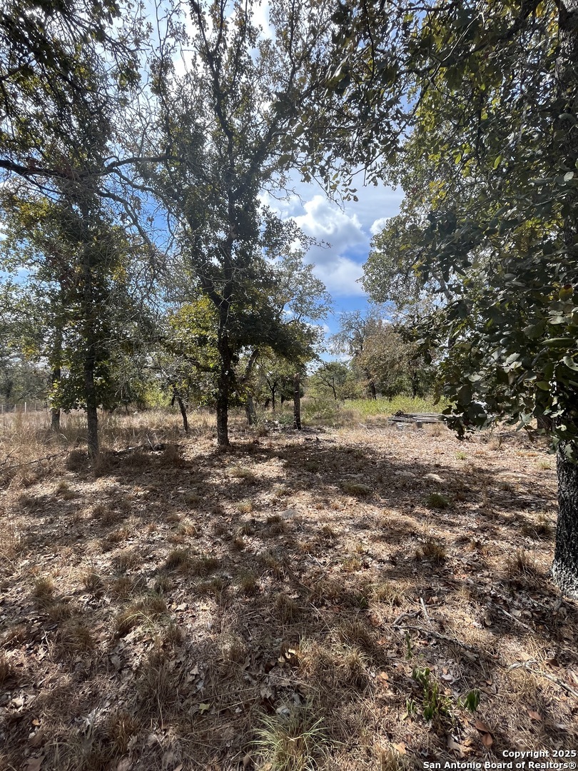 Property Photo:  300 Deer Ridge  TX 78155 