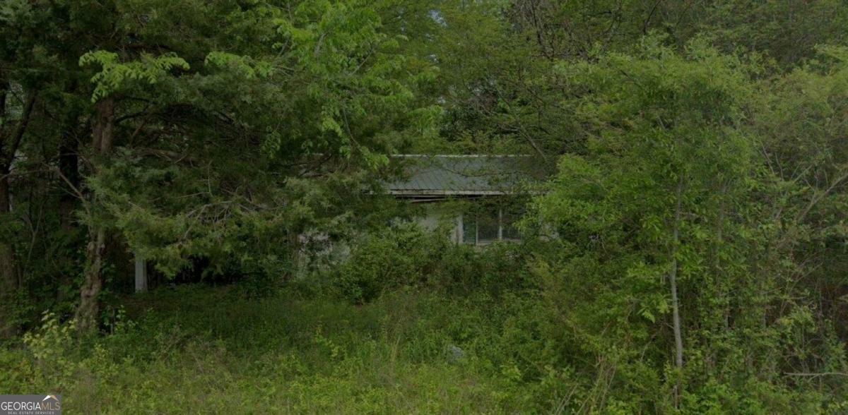 Property Photo: 1029 Fairview Street GA 30153