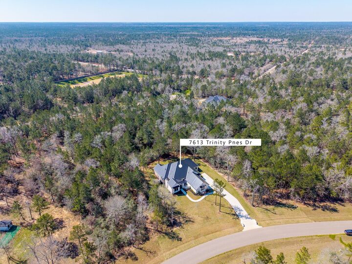 7613 Trinity Pines Drive  Montgomery TX 77316 photo
