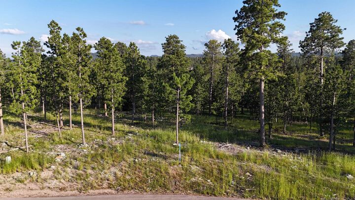 Property Photo: Lot 4 Block 9 Overlook Pass SD 57754-0000