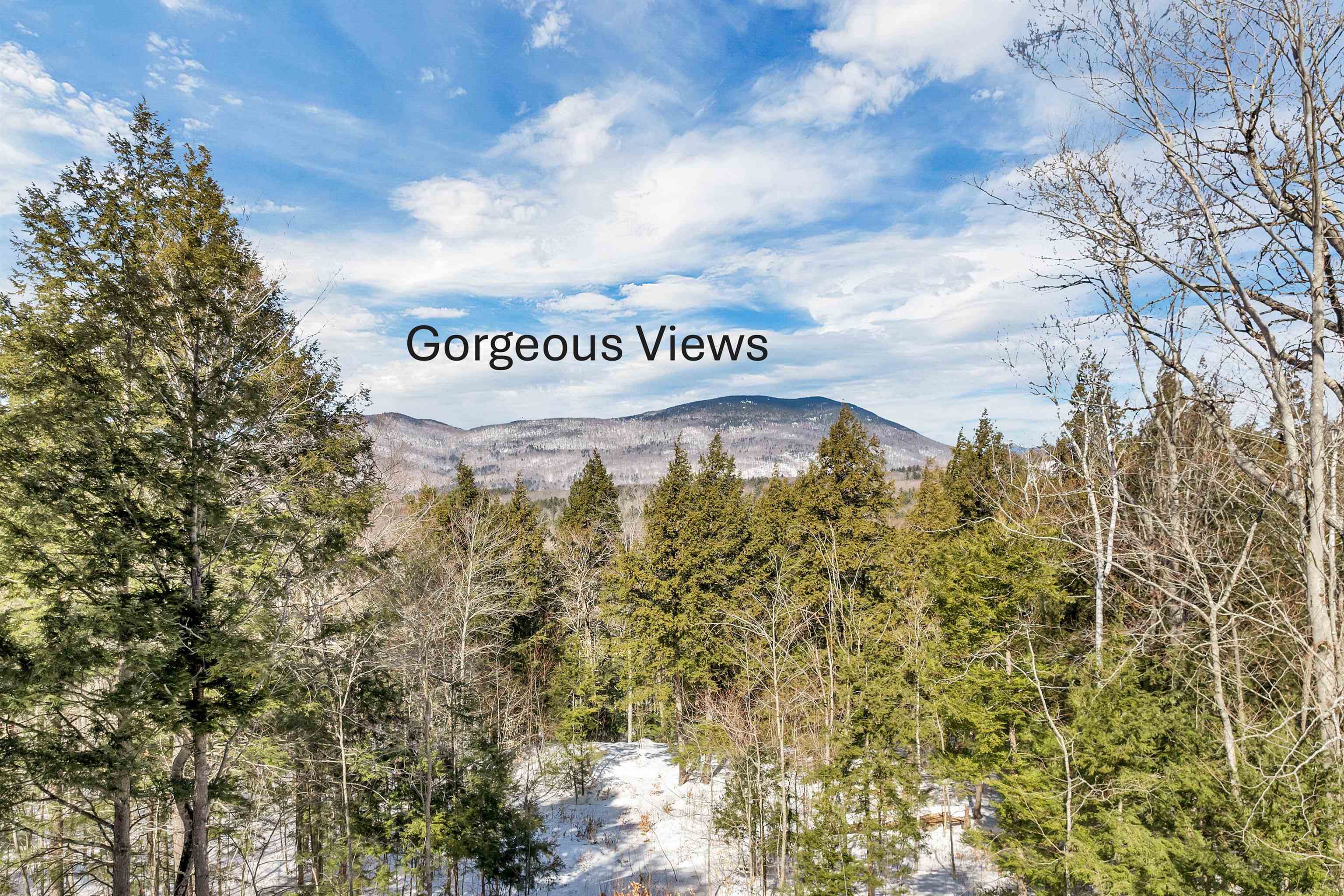 Property Photo: 00 Buzzell Ridge Road NH 03227