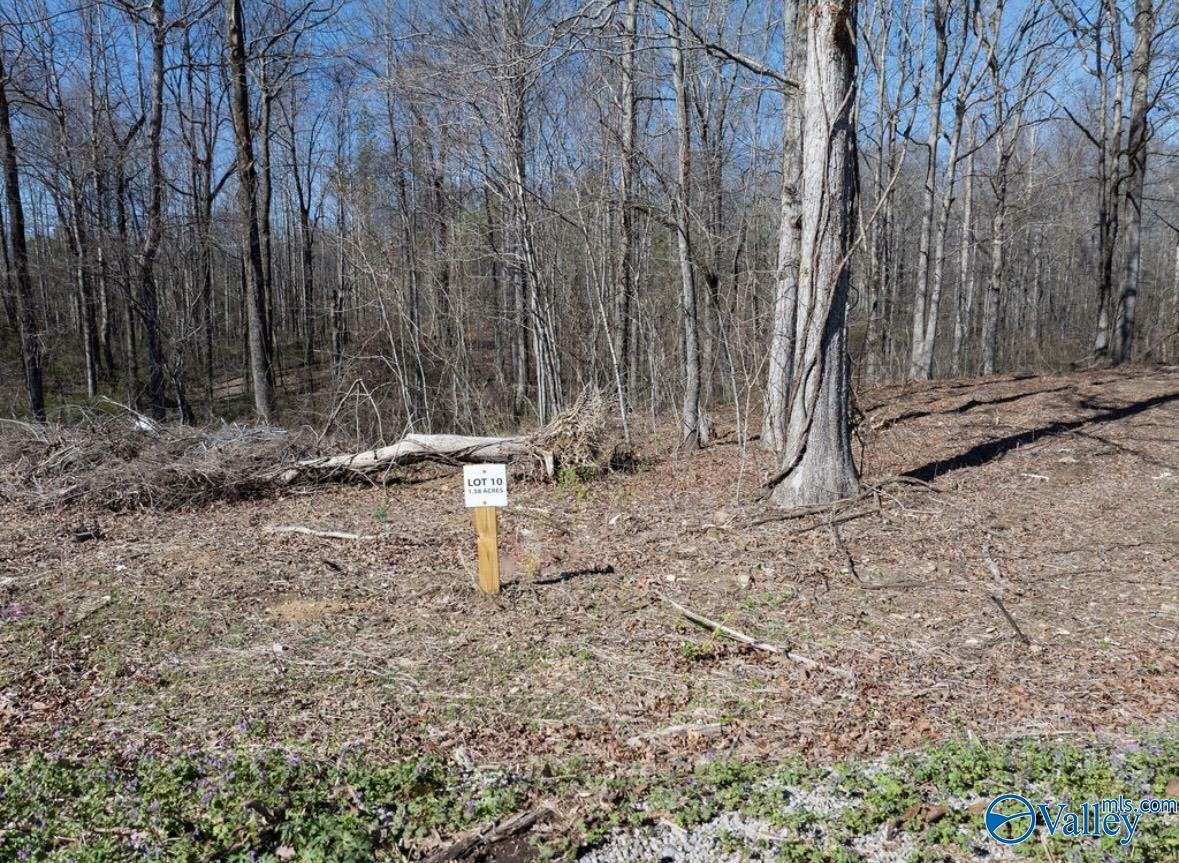 Property Photo: Lot 10 County Road 825 AL 35768