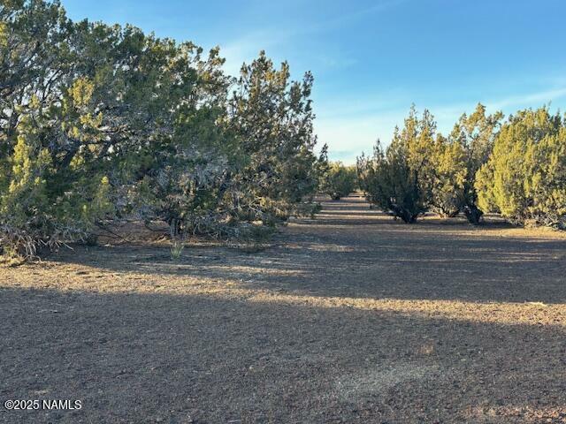 303-23-020 Alpine Ranch  Flagstaff AZ 86004 photo