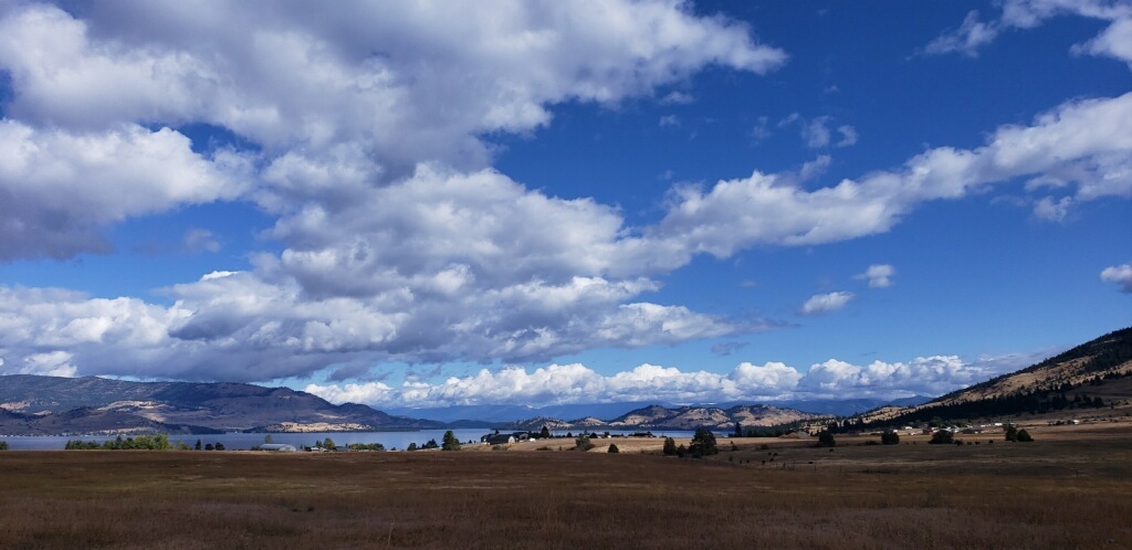 Property Photo: 29068 Walking Horse Lane MT 59910