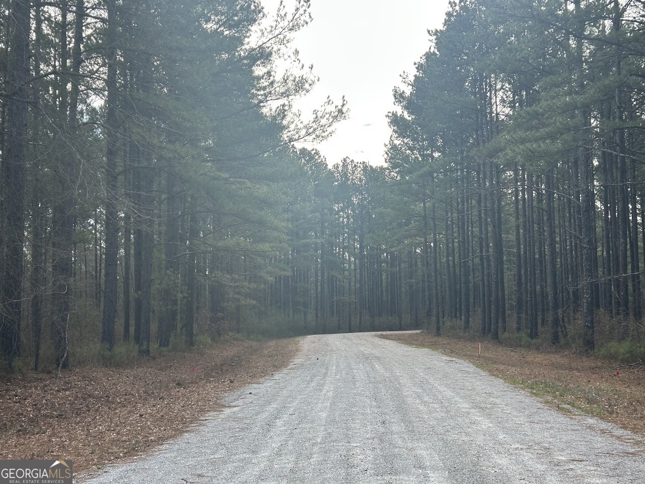 Property Photo: 250 Riversong Road GA 30117