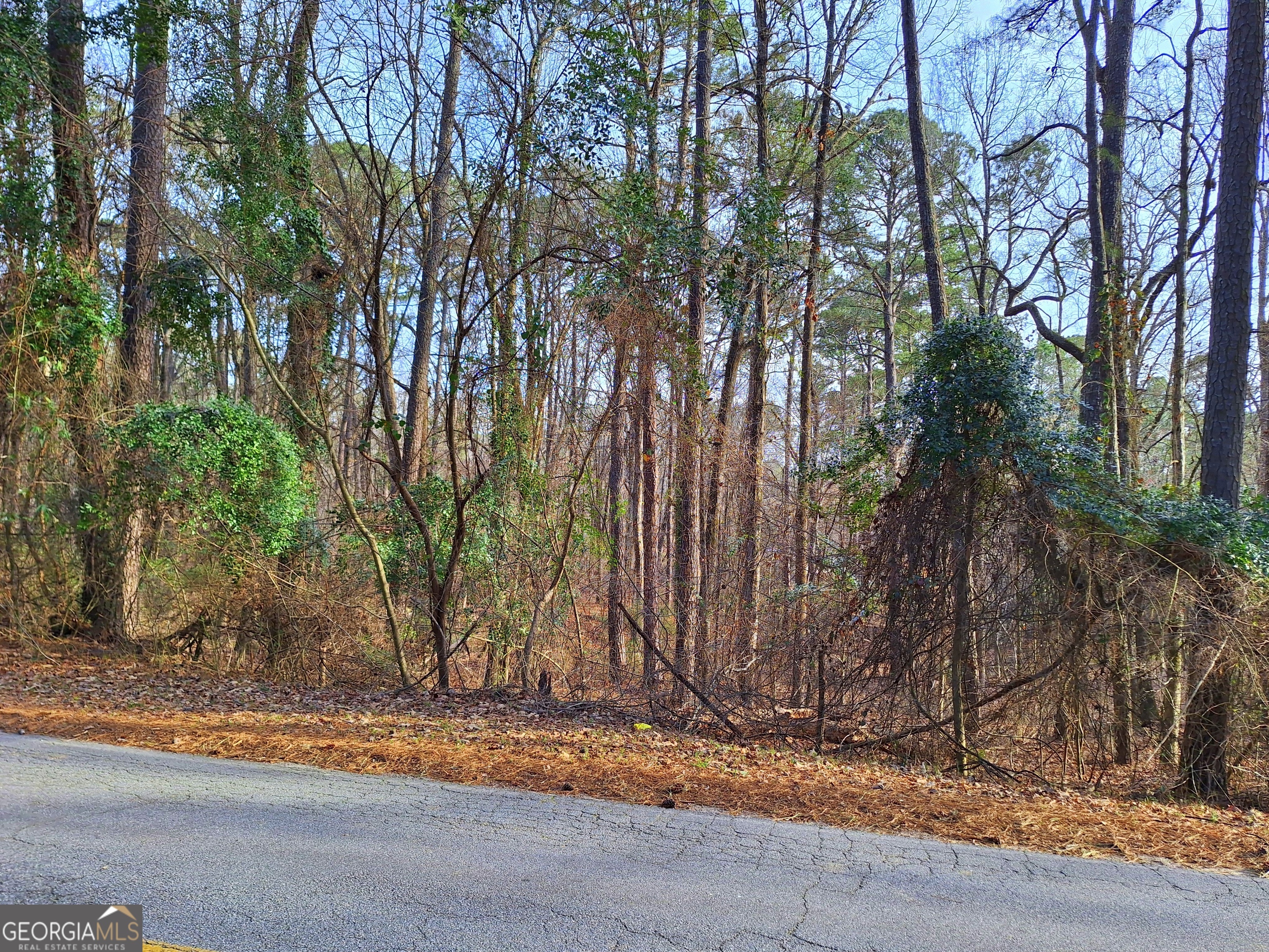 Property Photo:  Lot 20 Cardinal Drive  GA 31064 