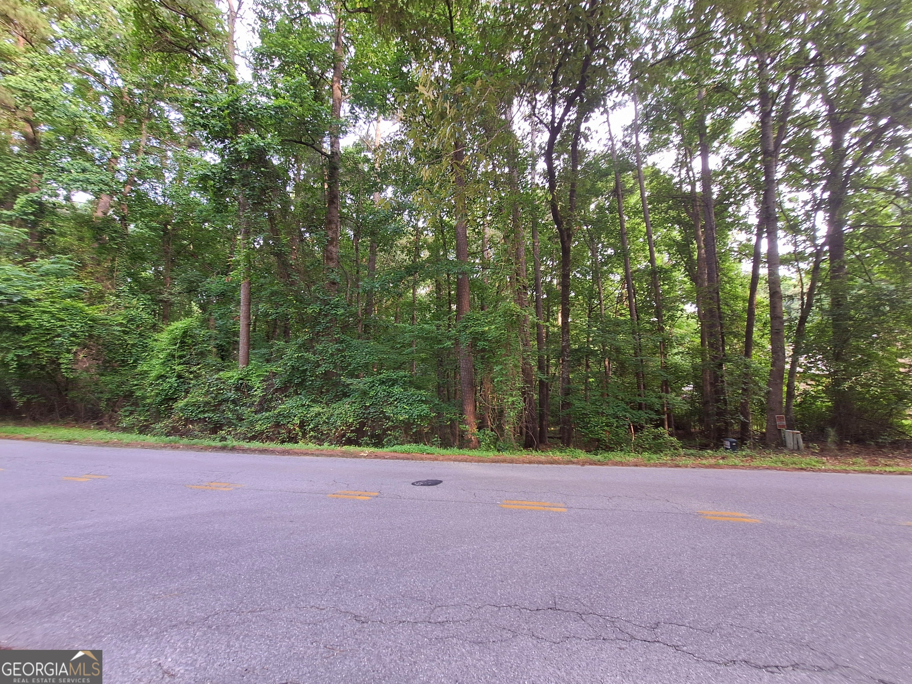 Property Photo: Lot 20 Cardinal Drive GA 31064