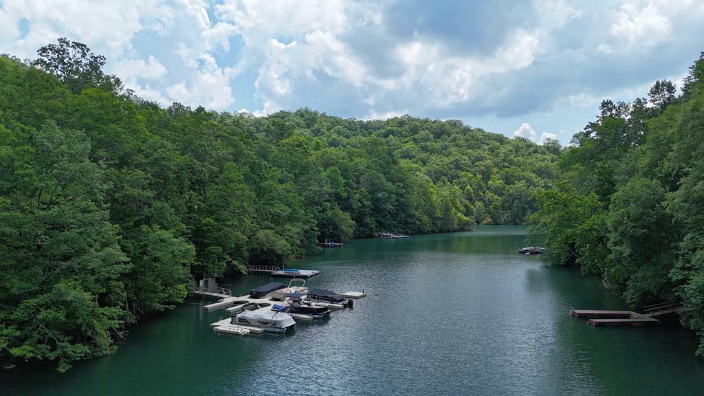 Property Photo: 967 Indian Lakes NC 28781