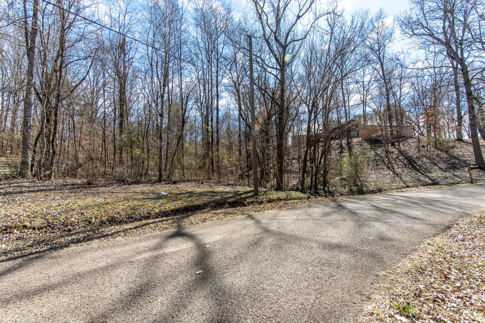 Property Photo: 0 Salt Ln TN 38372