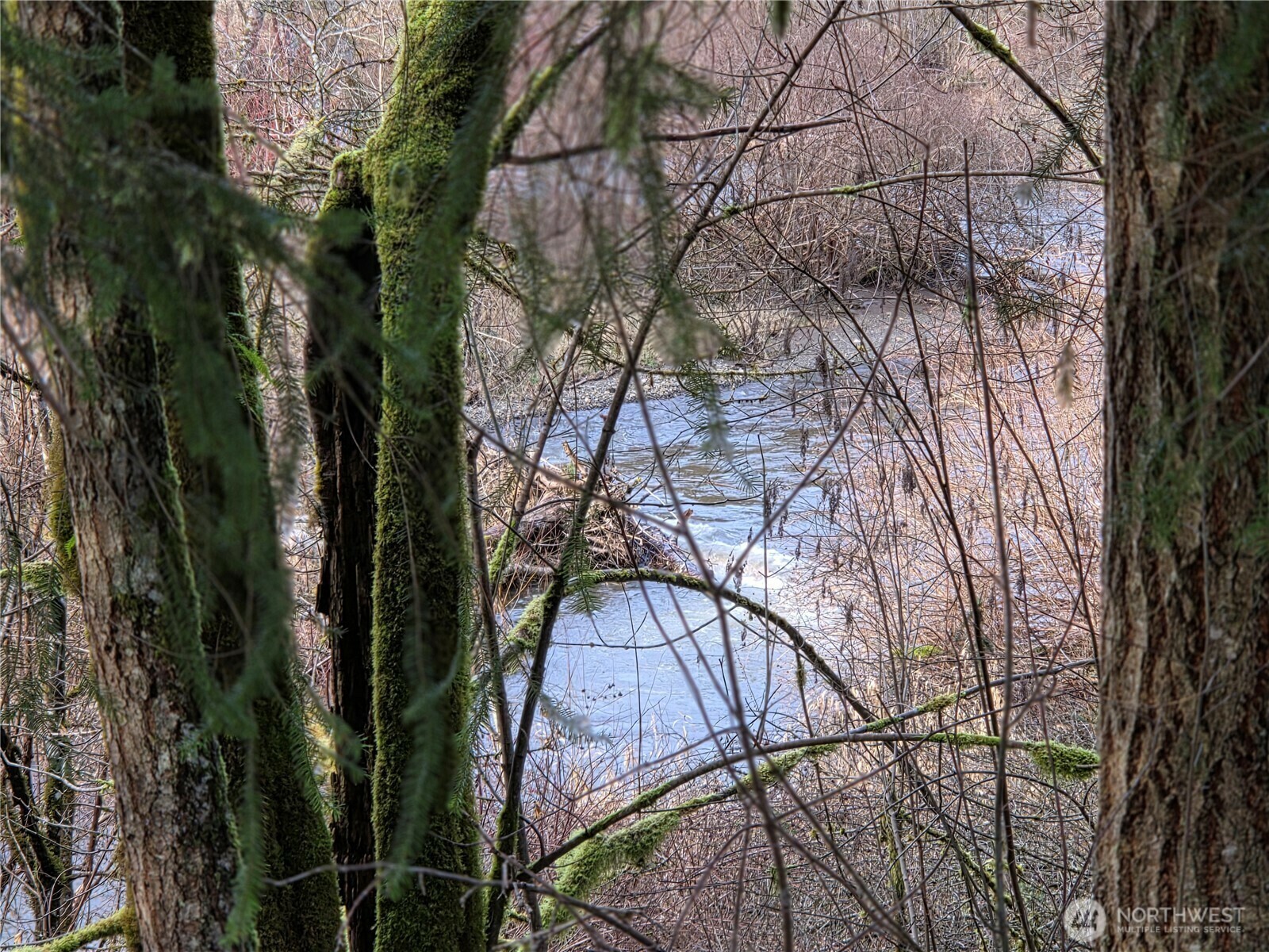 Property Photo: 8021 SW Treasure River Trail WA 98512