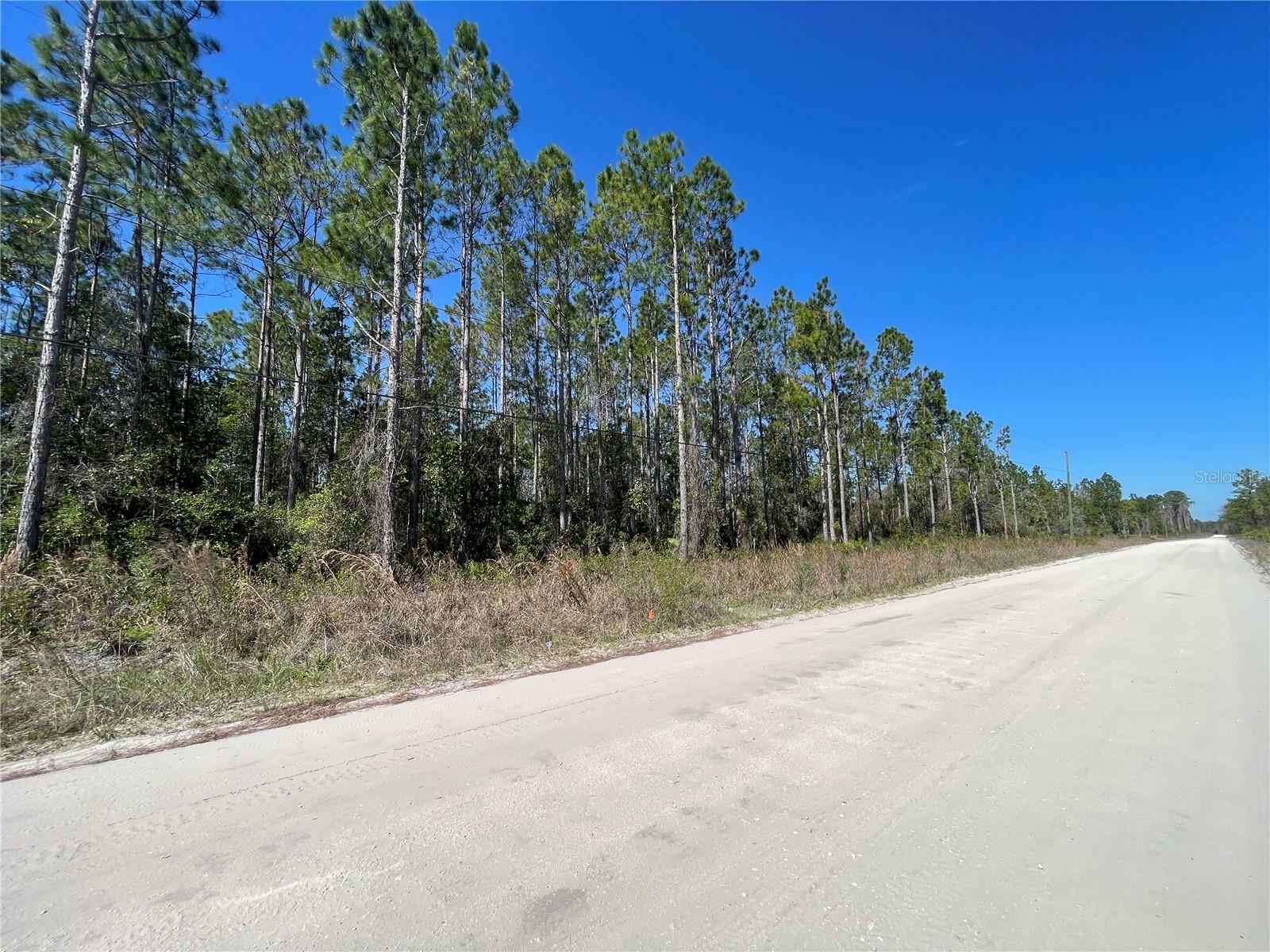 Property Photo:  Chesser Hammock Road  FL 32180 