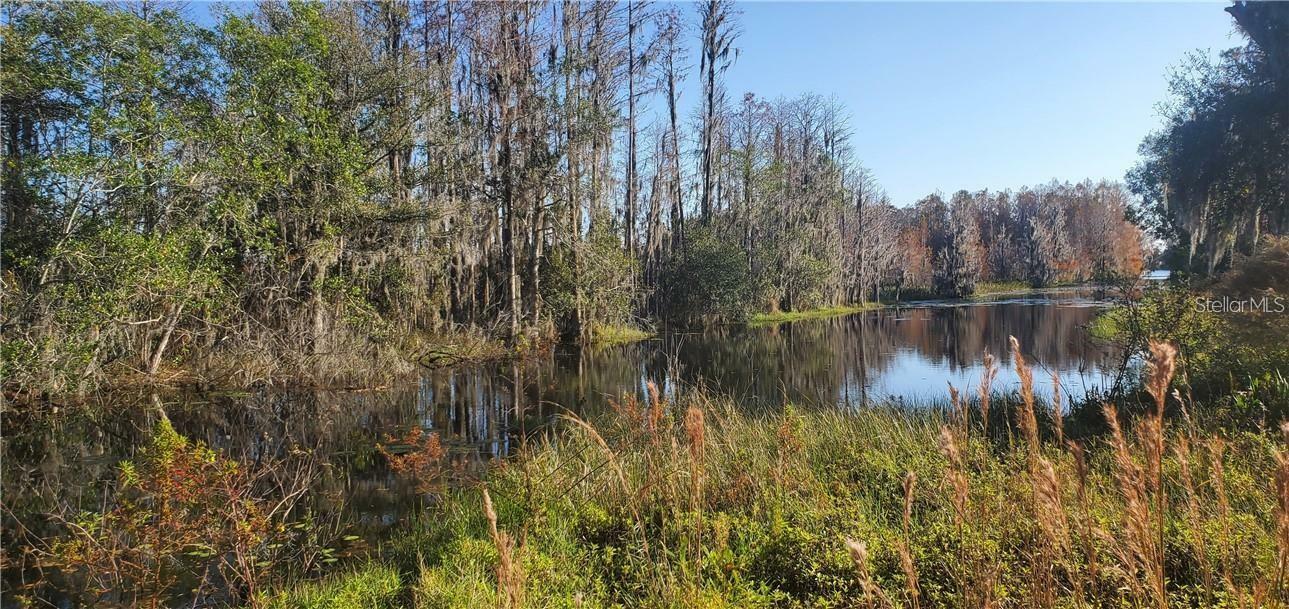 Property Photo: 11124 Lake Shore Drive FL 34637