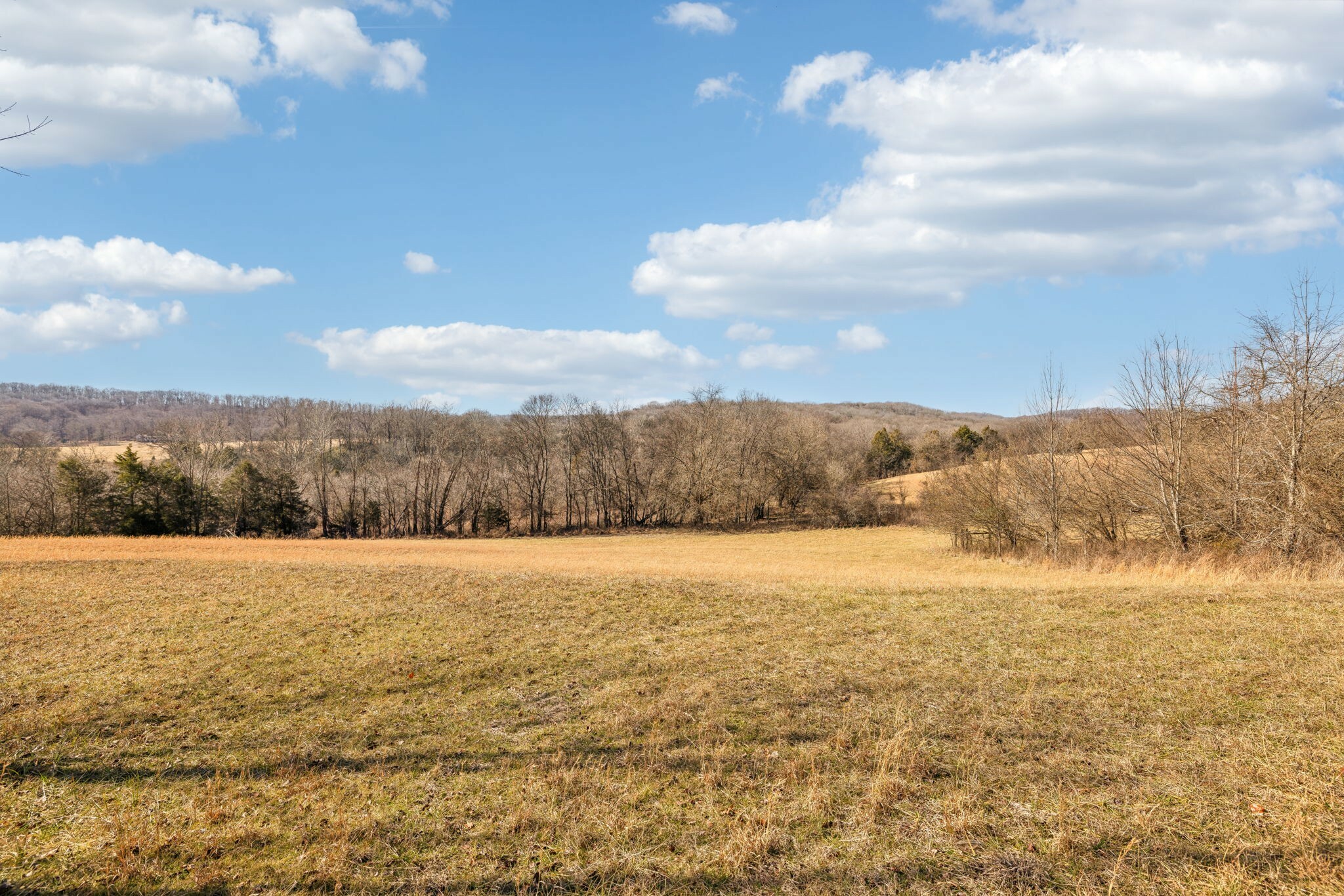 Property Photo:  8001 Palmore Hollow Pvt Ln  TN 37135 