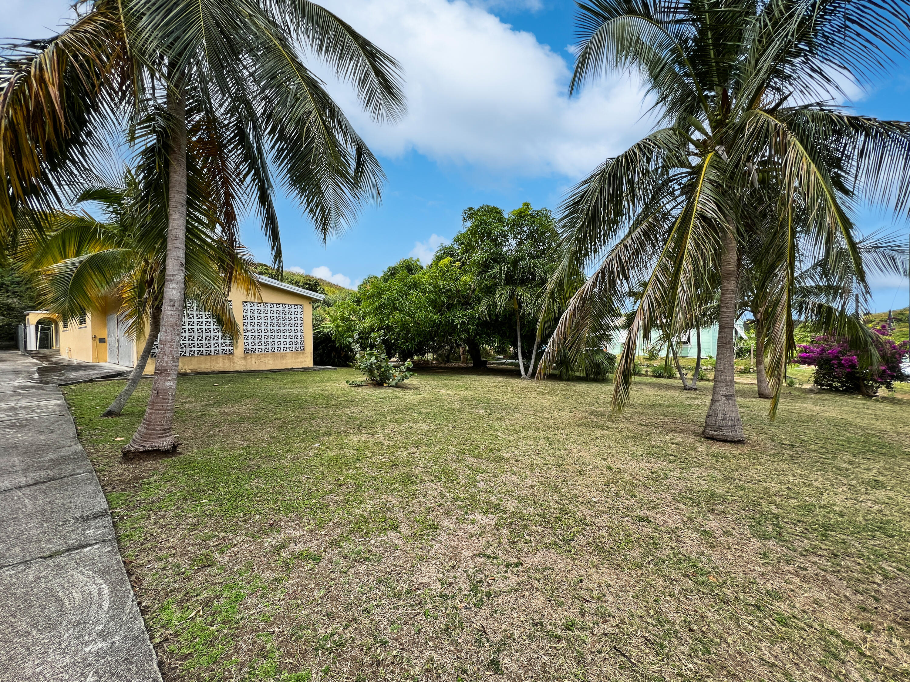 Property Photo: 159 Union & Mt. Wash Ea VI 00820