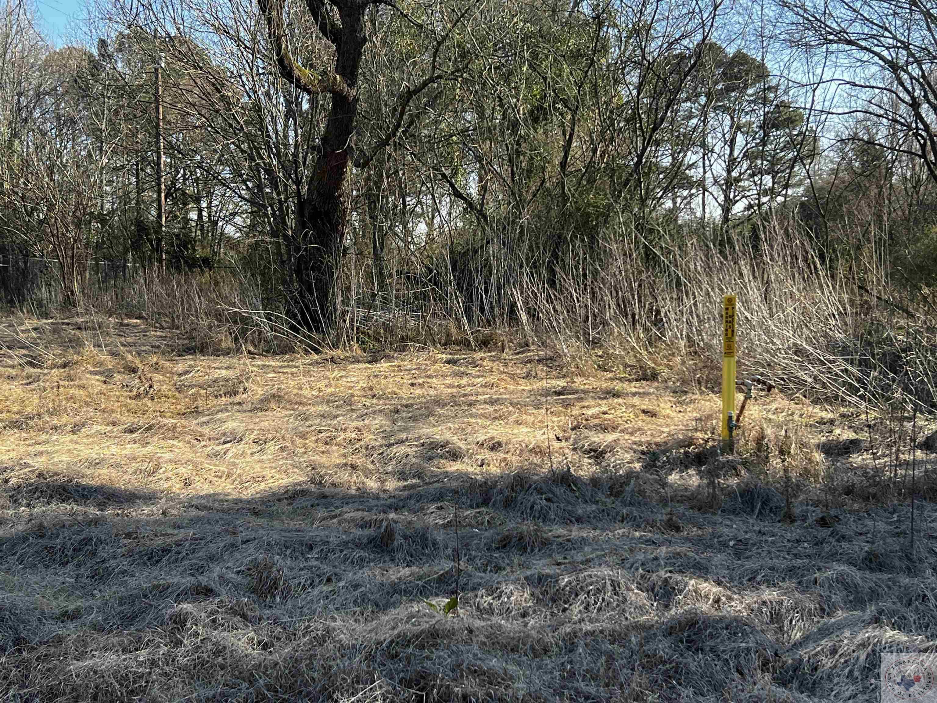 Property Photo:  611 Fincher Street  TX 75567 