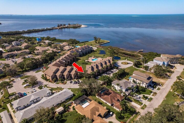 351 Windrush Loop  Tarpon Springs FL 34689 photo