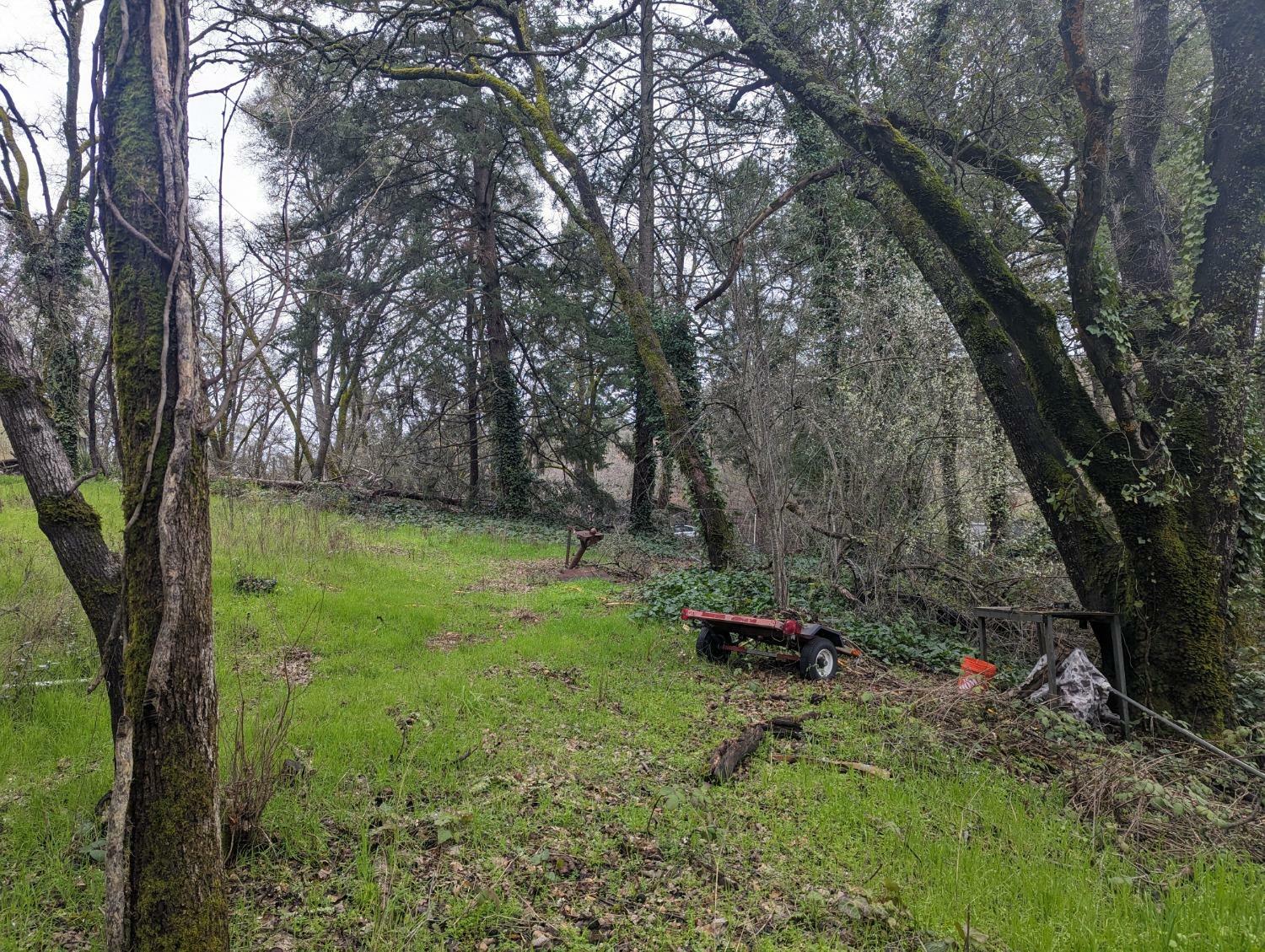 Property Photo: 0 Millertown Road CA 95603