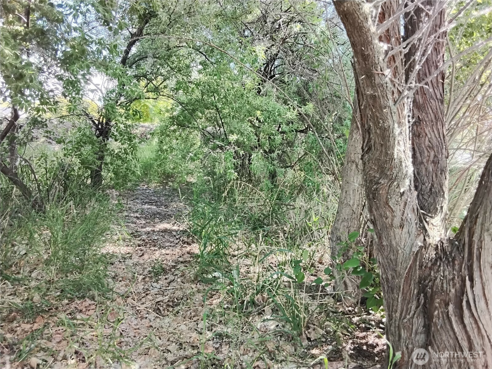Property Photo: 23 Champerty Road WA 98844