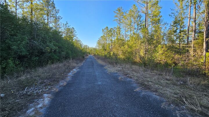 Property Photo: 9 Satilla Plantation Drive GA 31566