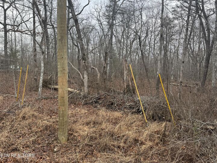 Property Photo: 4011 Klamath Circle TN 38572