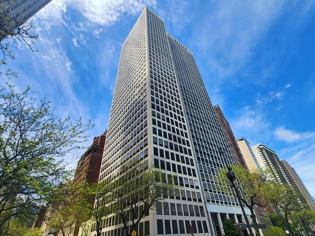 1100 N Lake Shore Drive 36B  Chicago IL 60611 photo