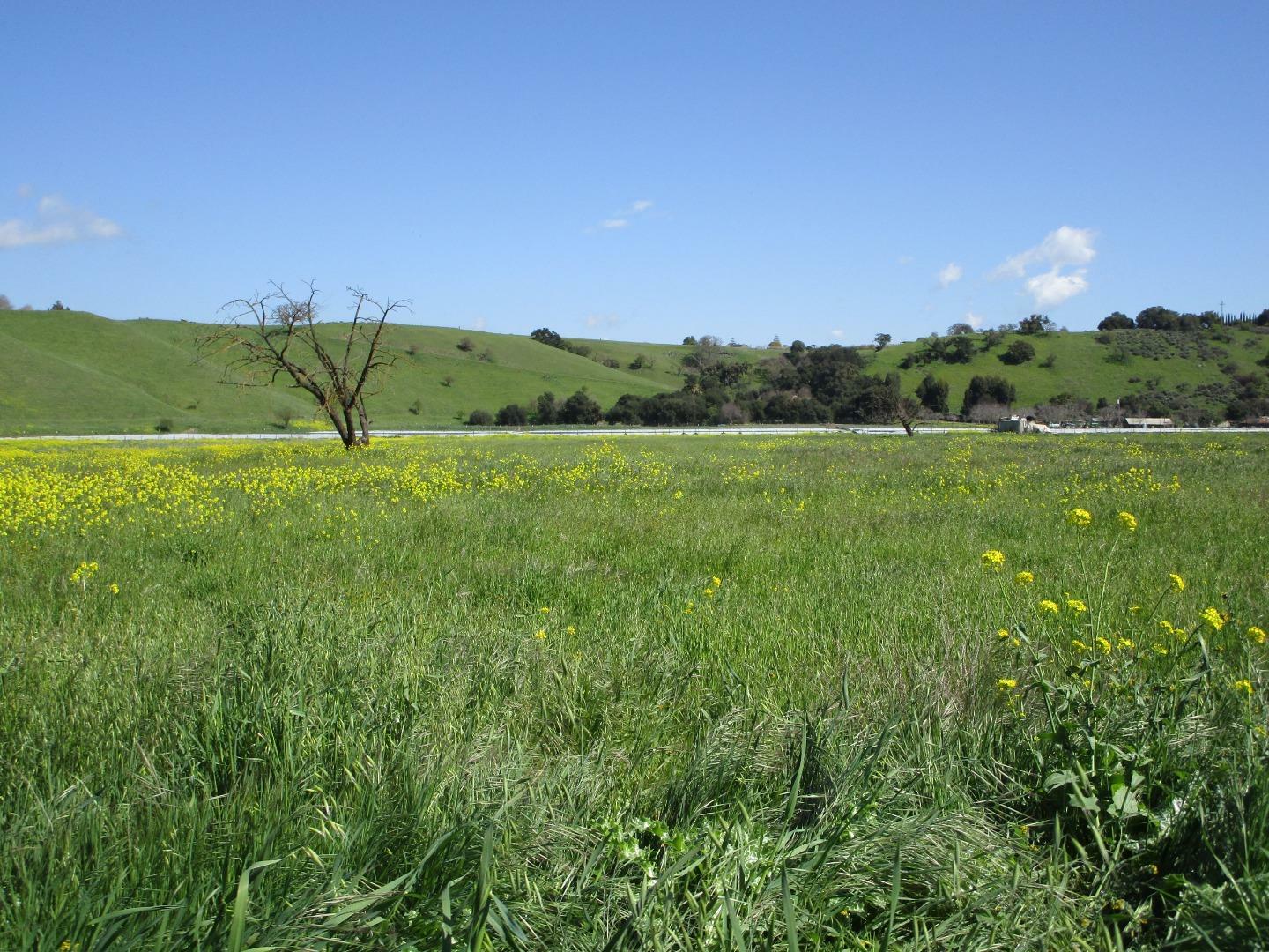Property Photo: 0 Southside Road CA 95023