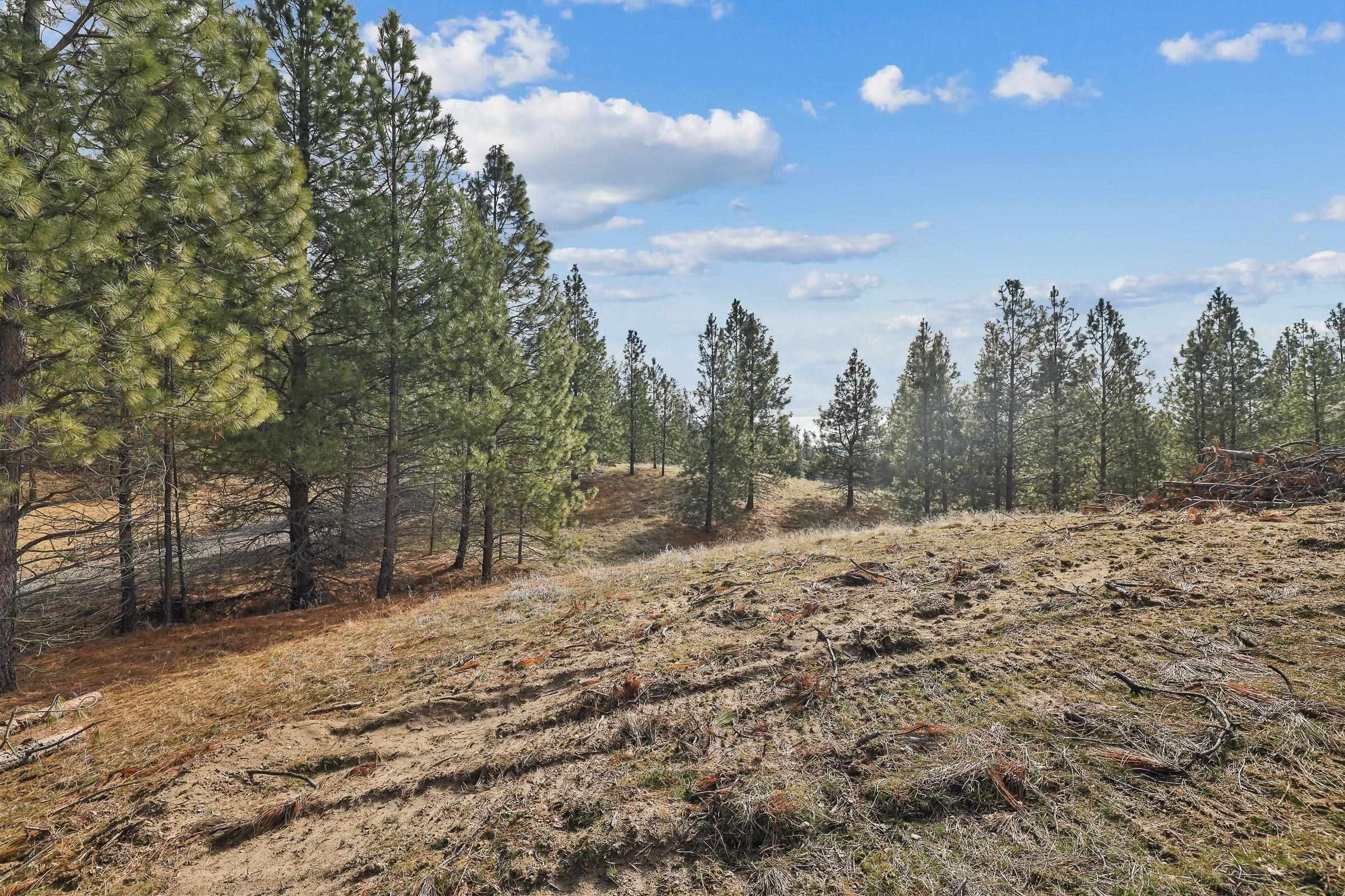 Property Photo:  Nka Lower Weaver Way Lot 3  WA 99006 