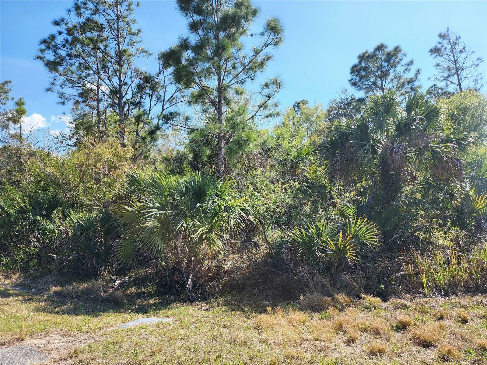 Property Photo:  Lot 7 Ironside Street  FL 34288 