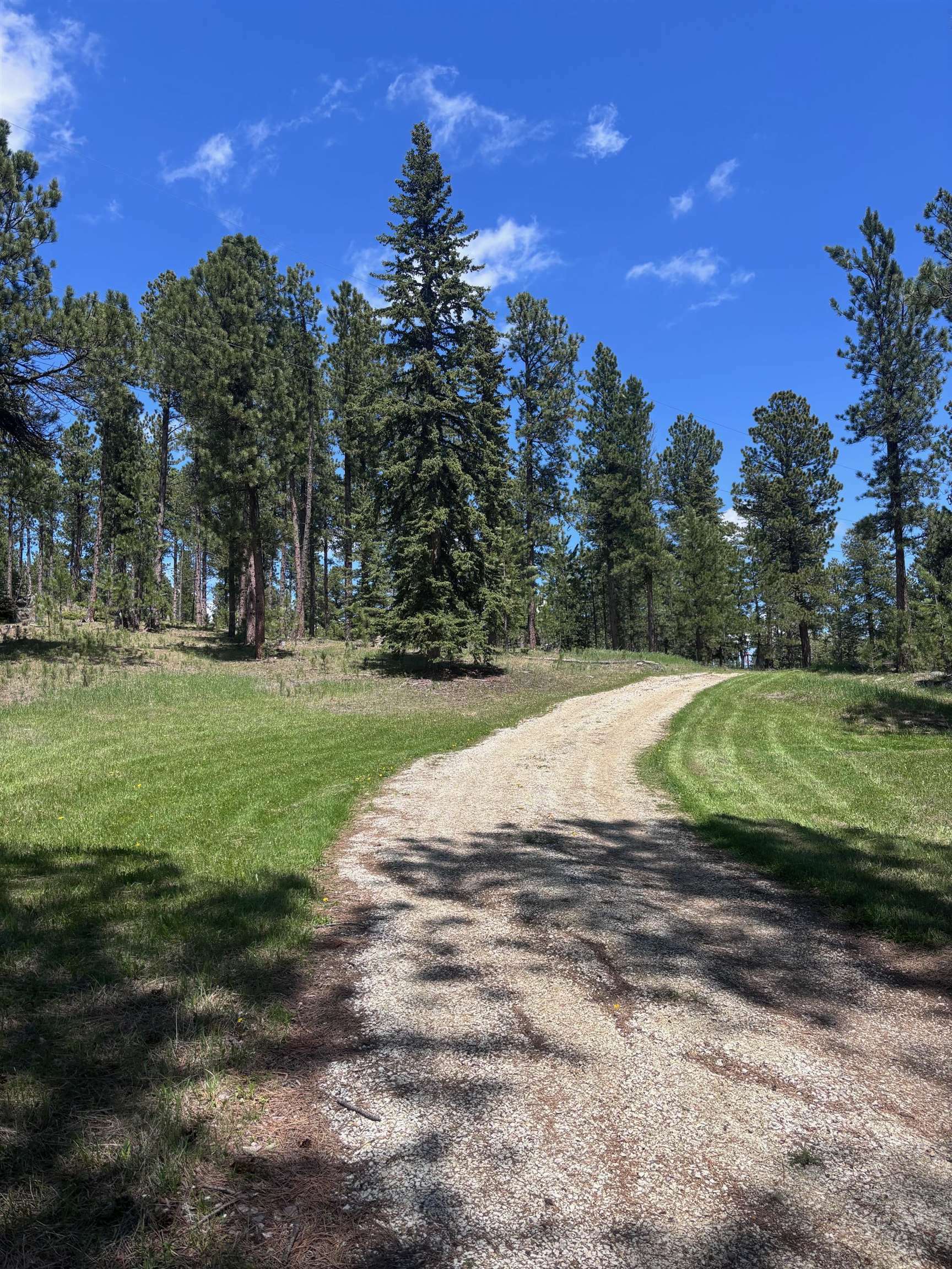 Property Photo:  12204 Nemo Road  SD 57759 