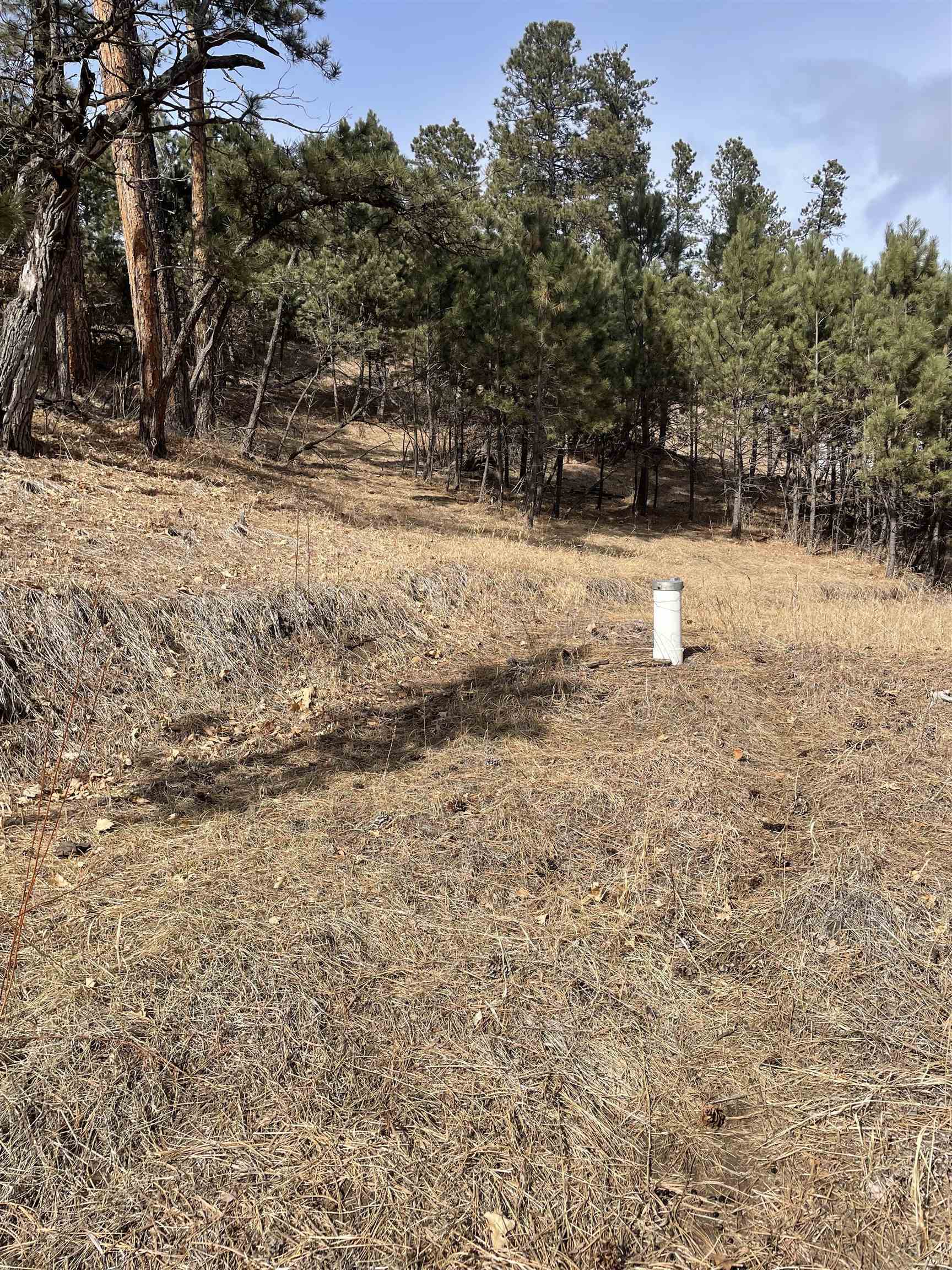 Property Photo: Tbd Hwy 40 SD 57751