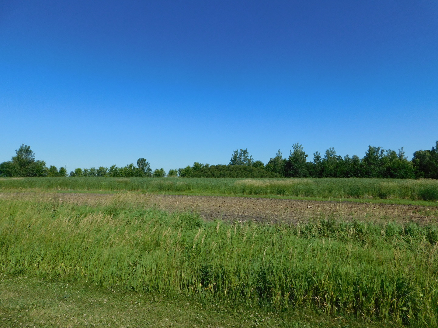 Property Photo: 1374 N 4535th Road IL 60518