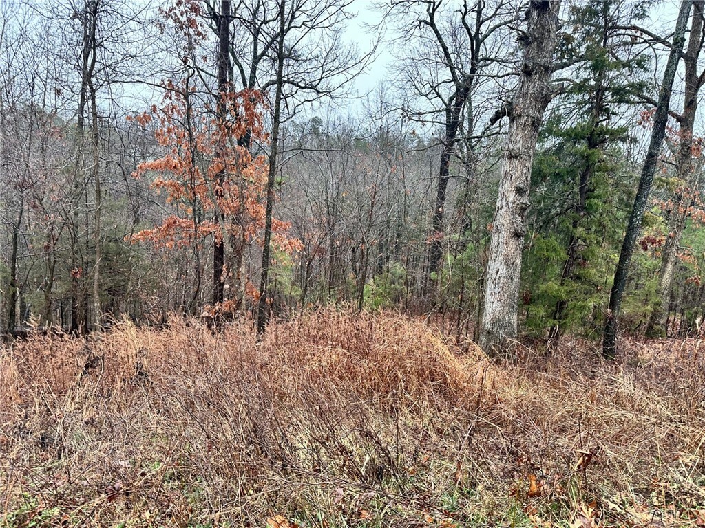 Gum Lane  Rogers AR 72756 photo