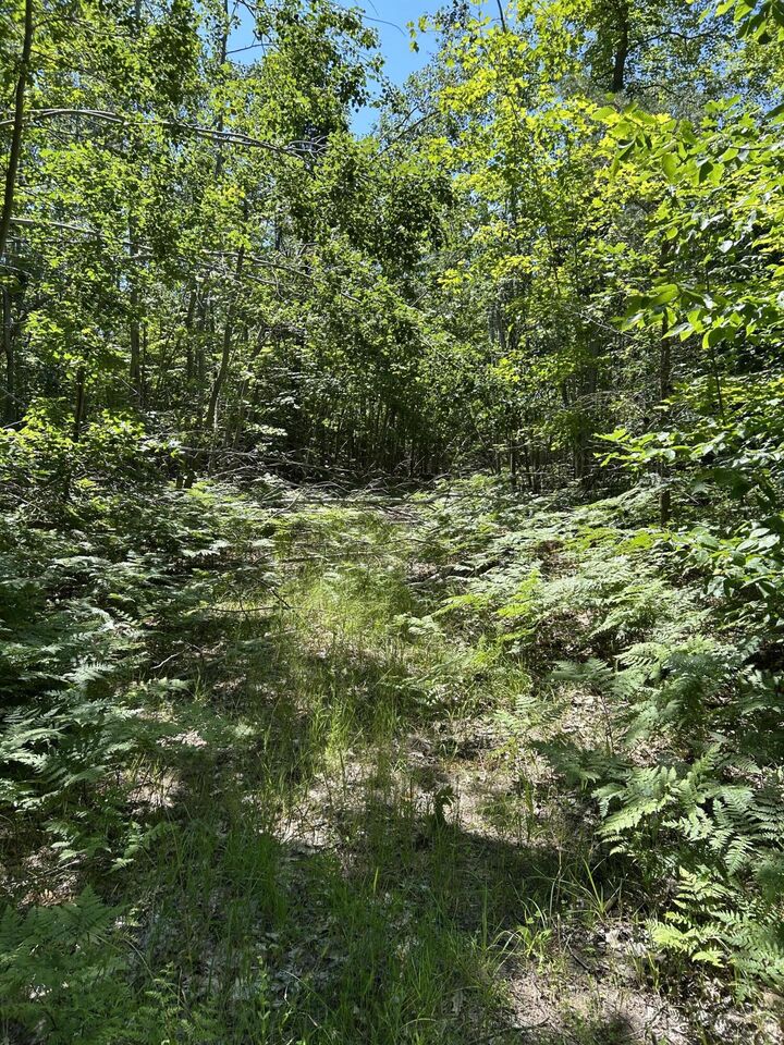 Property Photo:  Parcel B Woodmansee Road  MI 49721 